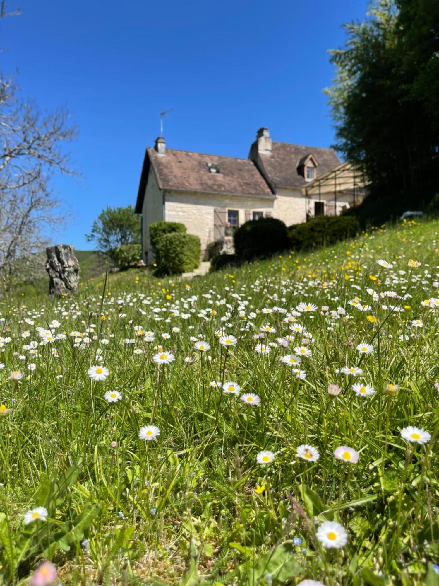 Domaine Du Bonheur En Pierre Avec Piscine, Proche Sarlat Villa Carlux Luaran gambar